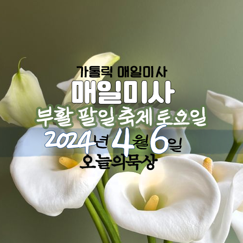 2024년 4월 6일 매일미사 부활 팔일 축제 토요일 복음 독서 오늘의 묵상