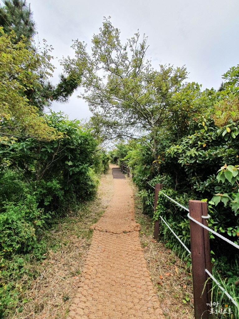 당산봉 정상 탐방로