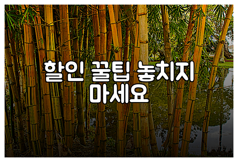 할인 꿀팁 놓치지 마세요