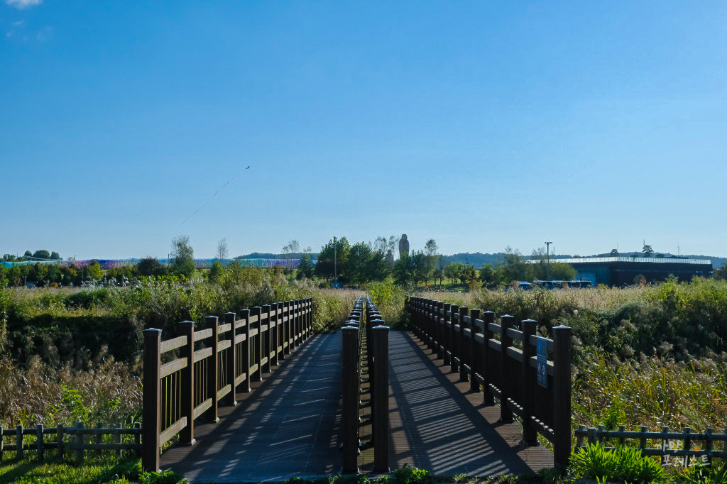 평화누리 캠핑장 산책로