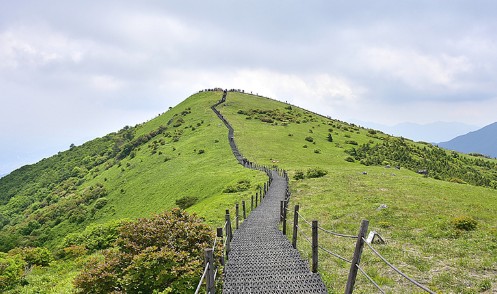 [단양 여행지 추천] 단양 가볼만한곳5. 소백산 국립공원 (비로봉)