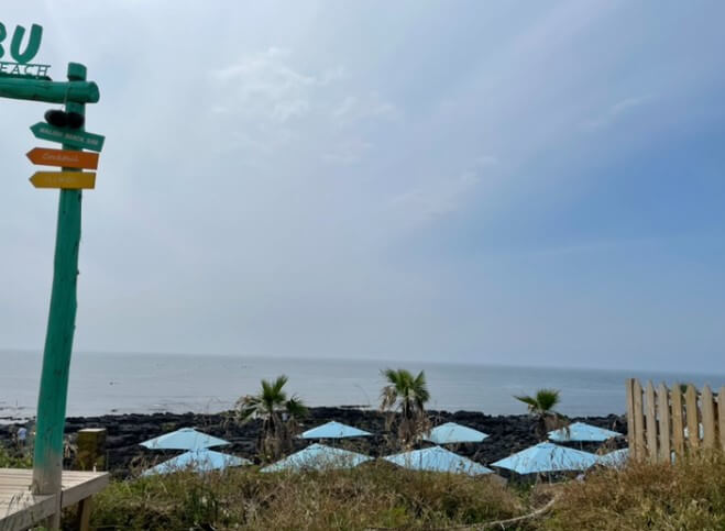 제주도 렌터카 최저가