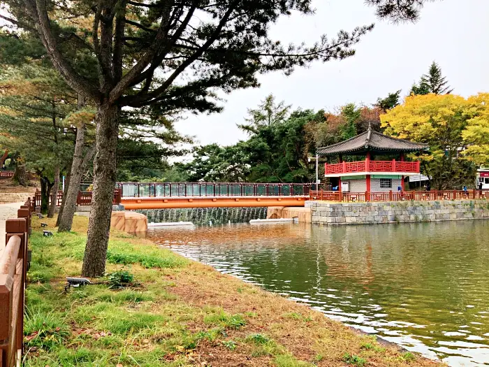 생생정보 제천 단풍 구경 여행 소개 방송