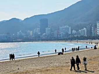 송정 해수욕장 여행 꿀팁 맛집과 서핑포인트 정리_18