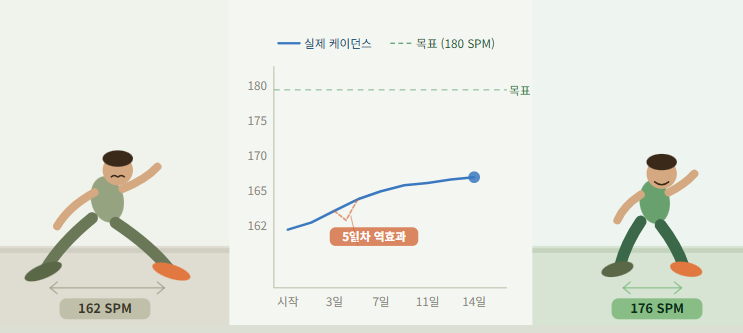 러닝 케이던스를 높이려고 했던 2주간의 실험