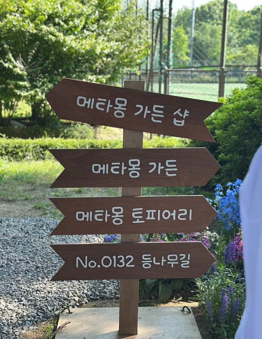 메타몽 프로젝트 : 메타몽 가든