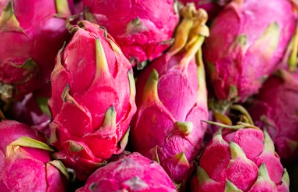 멀티비타민 추천 복용시간 먹는시간