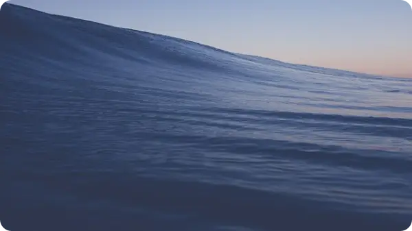 쏠비치남해 예약