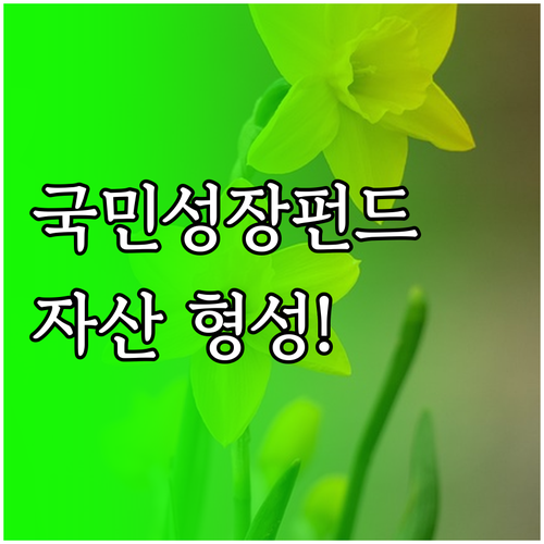 국민성장펀드 안정적인 자산 형성을 위..