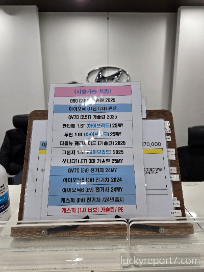아이오닉9-현대자동차-일산지점-시승기