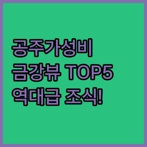 공주 가성비 호텔 베스트 5 금강 리..