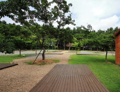 강릉 주문진 솔바람 캠핑장