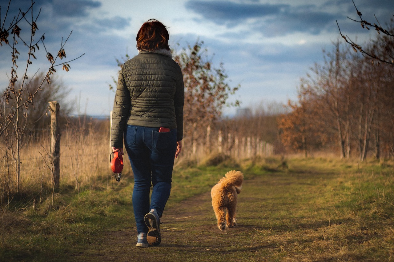 woman-dog-path-walk-dog-walk