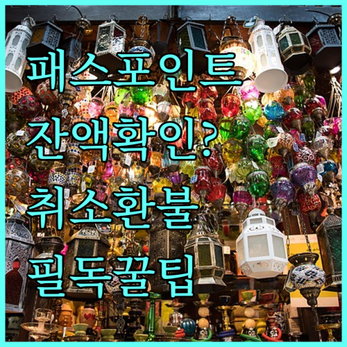 서울청년문화패스 마이페이지 포인트 현..