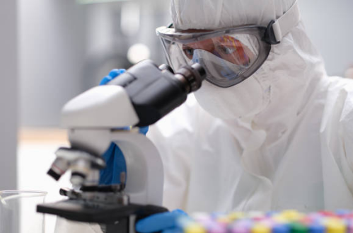 말라리아 증상, 예방접종, 모기 총정리 (2024ver)