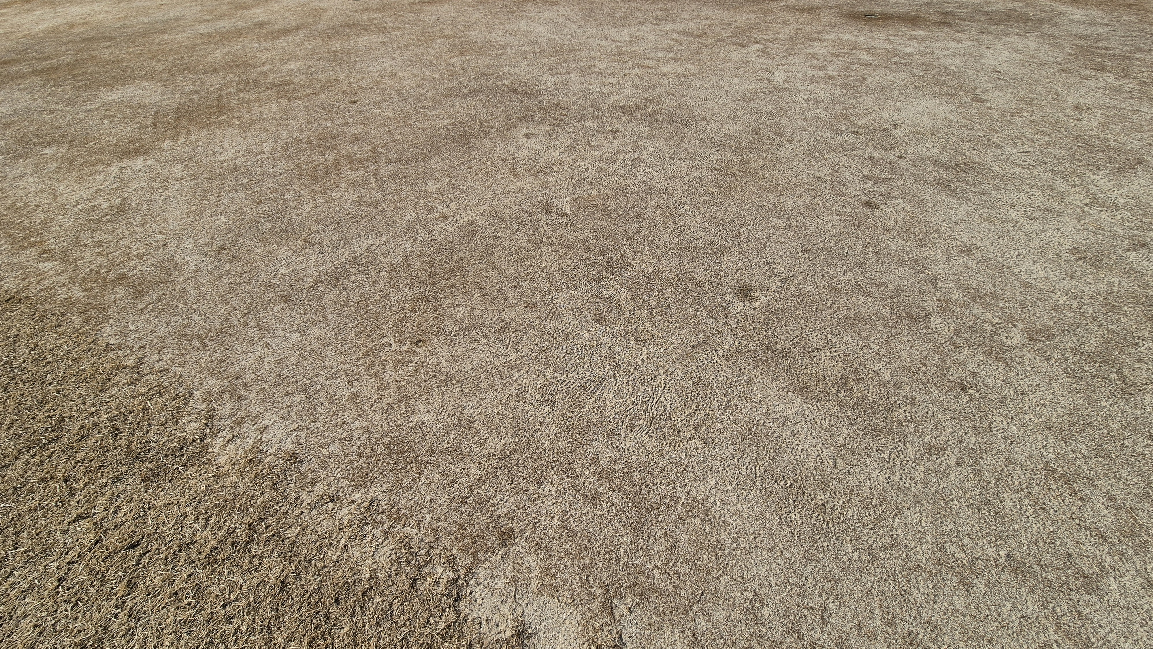 비에이비스타cc 호박-보나(퍼블릭) 코스 그린관리상태