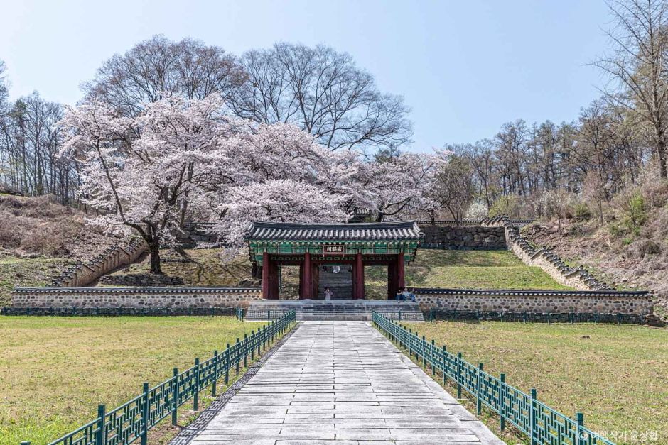 진천 가볼만한곳 베스트10