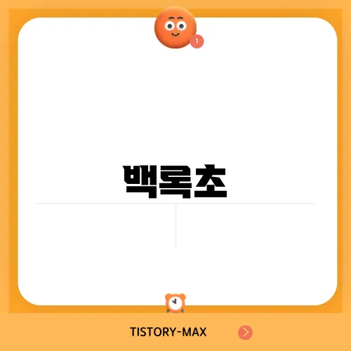 백록초