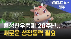 횡성한우축제 모습 뉴스 취재 영상