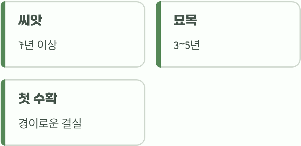 그래서, 우리는 무엇을 기다리는 걸까?