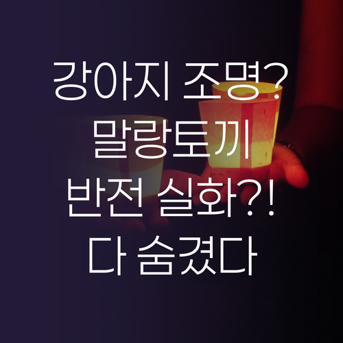 강아지 조명부터 말랑토끼까지 요즘 핫..