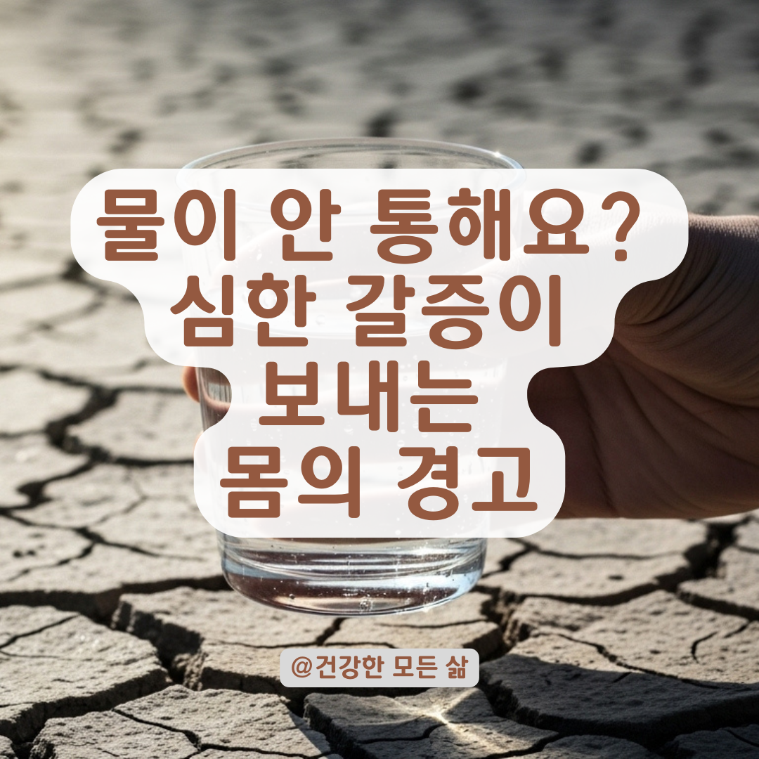물로 해결 안되는 심한 갈증 증상, 놓치면 안되는 건강 신호와 점검리스트.