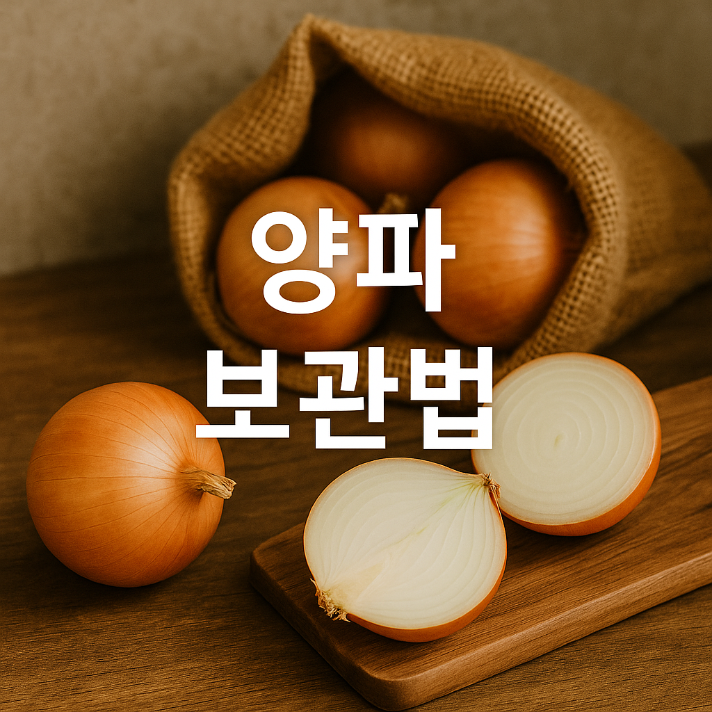 양파 보관법