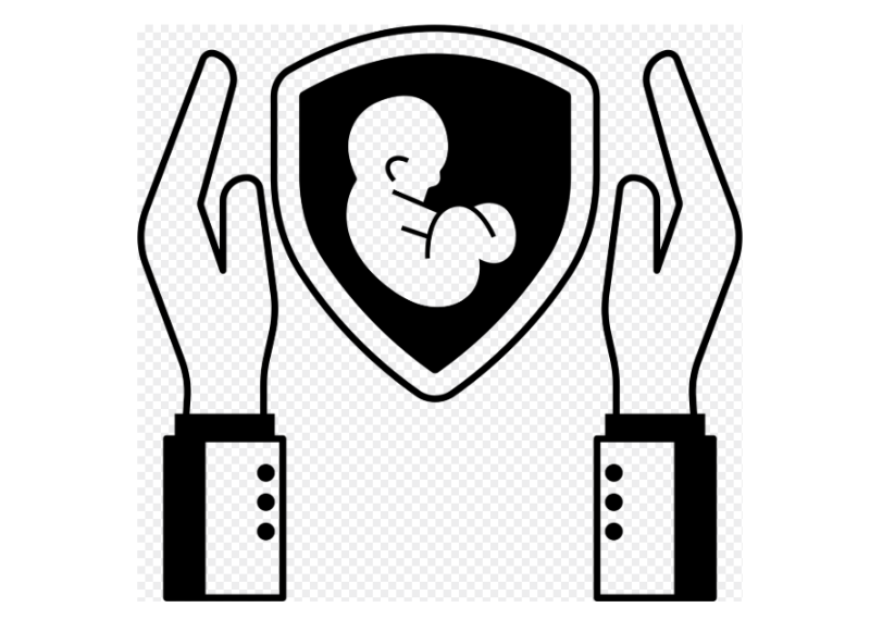 태아를 보호하는 손과 방패 아이콘, 태아 보험 가입 시기와 보장 내용을 상징적으로 나타낸 이미지