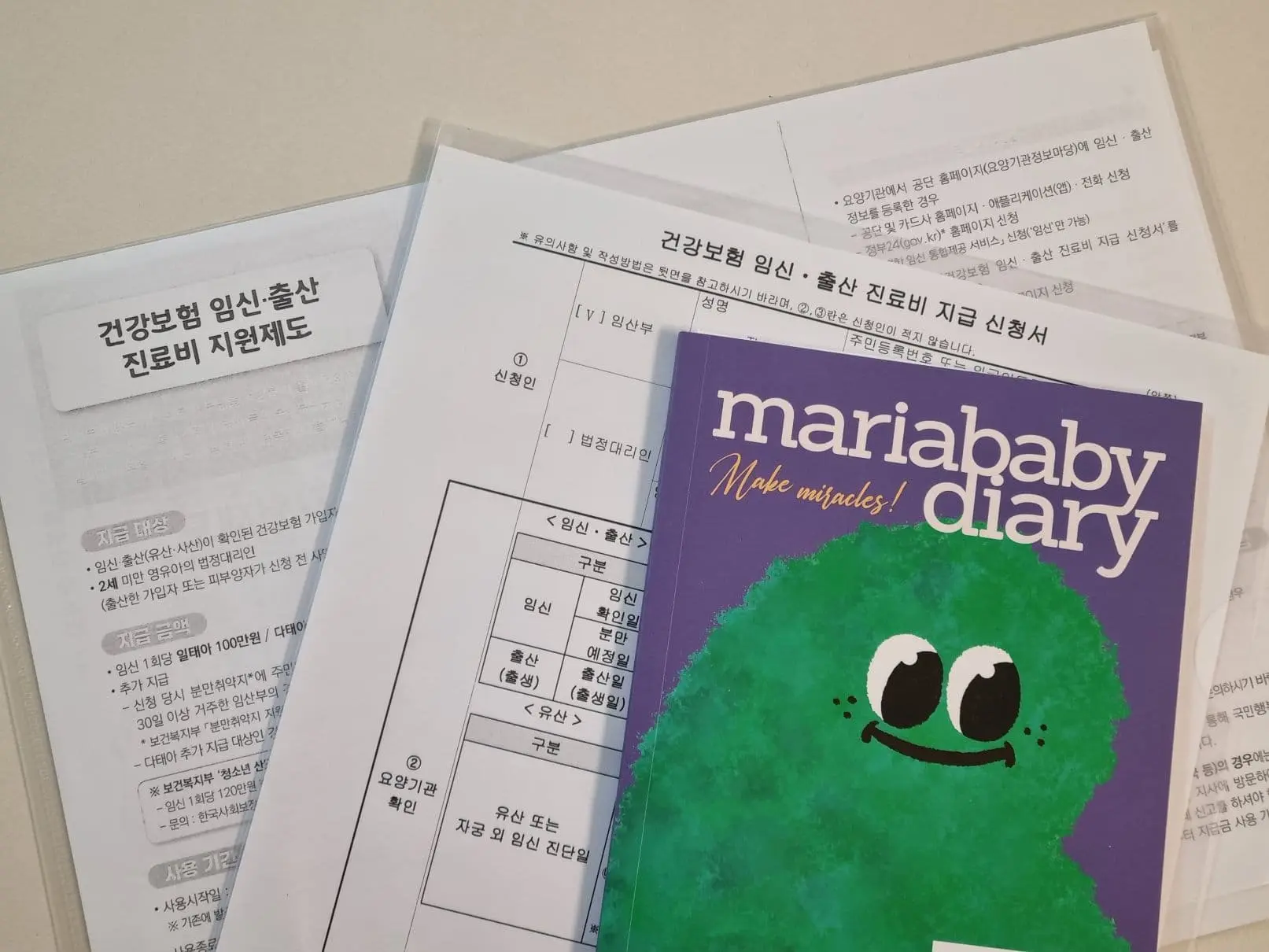 6주 첫 초음파 후기