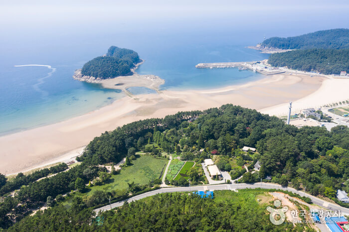 2025 천리포수목원 목련축제 입장료 사전예약