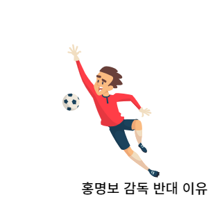 홍명보감독반대이유