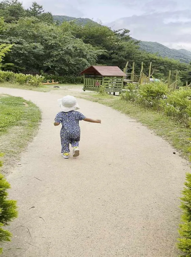 금성산생태숲