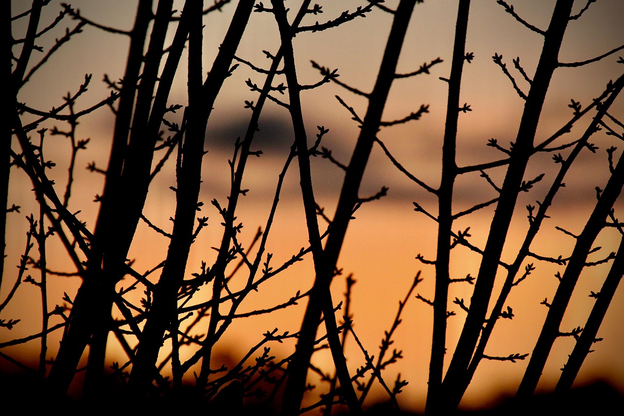 예술인·노무제공자 출산전후급여
