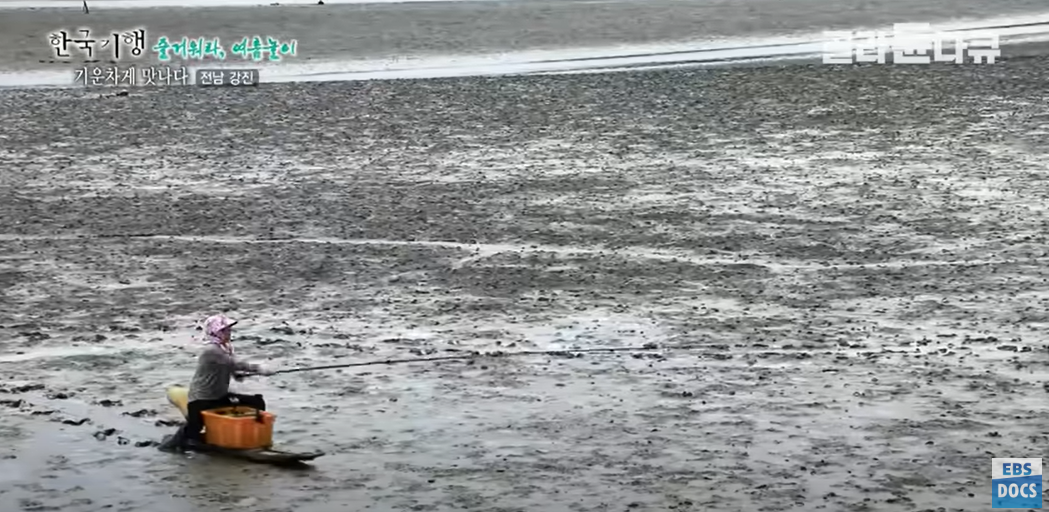 갯벌에서 전통 방식으로 짱뚱어를 잡는 어민