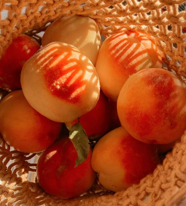 부천 소사복숭아축제