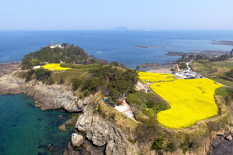 부안 수성당 유채꽃밭