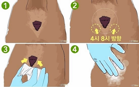 강아지 똥꼬스키의 이유 항문낭&amp;#44; 짜야 할까?