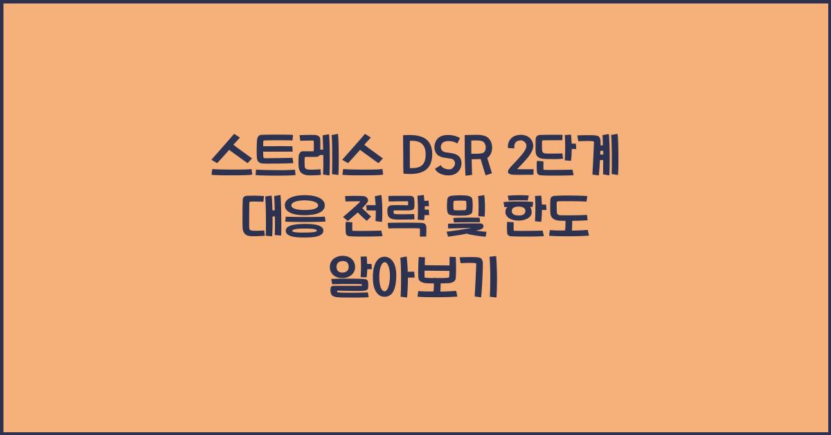 스트레스 DSR 2단계