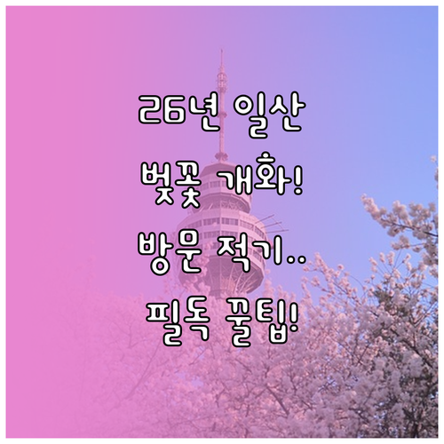 고양시 일산서구 2026년 벚꽃 개화..