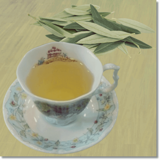 올러유러핀이 풍부한 올리브 잎 차