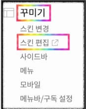 스킨편집