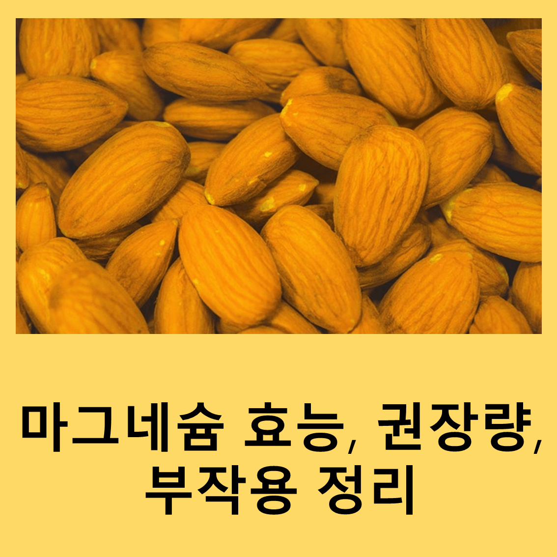 마그네슘