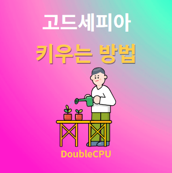 고드세피아 키우기