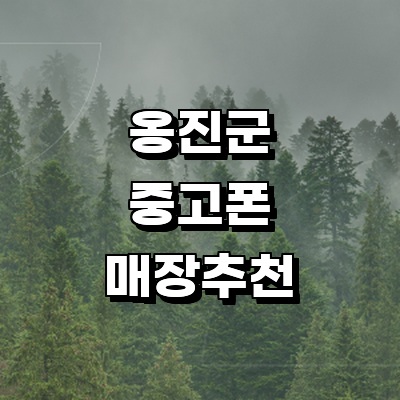인천 옹진군 중고폰