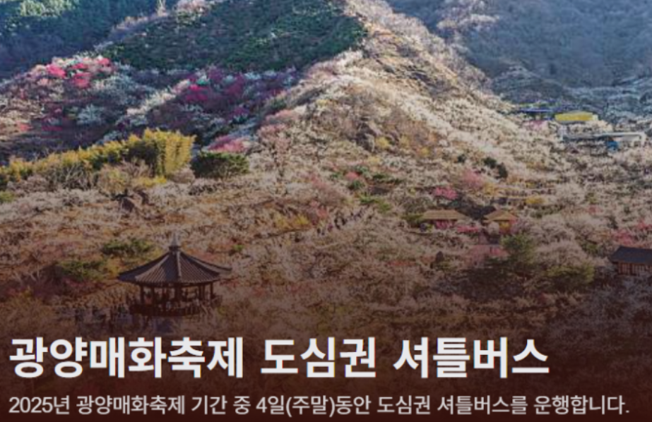 광양 매화축제 기간