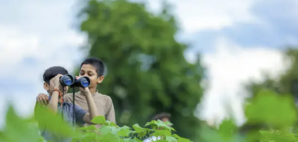 아이와 함께하는 자연 관찰의 철학: 작은 것에 깃든 배움