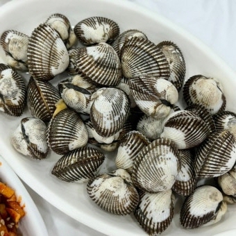 꼬막 효능 부작용