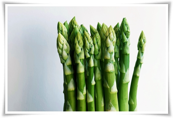 텃밭 &quot;아스파라거스 기르기&quot; 한 번 심으면 10년 동안 거두는 황금 채소!