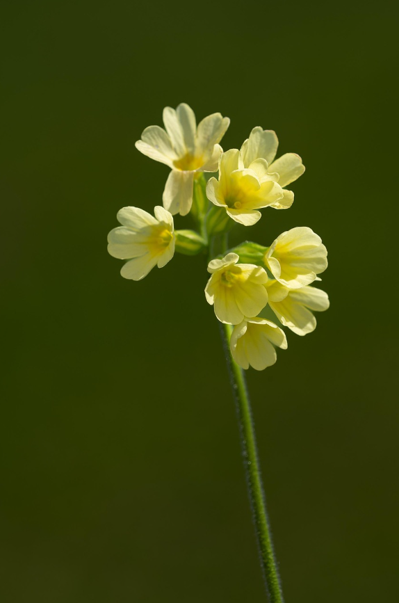 호기심 많은 아이