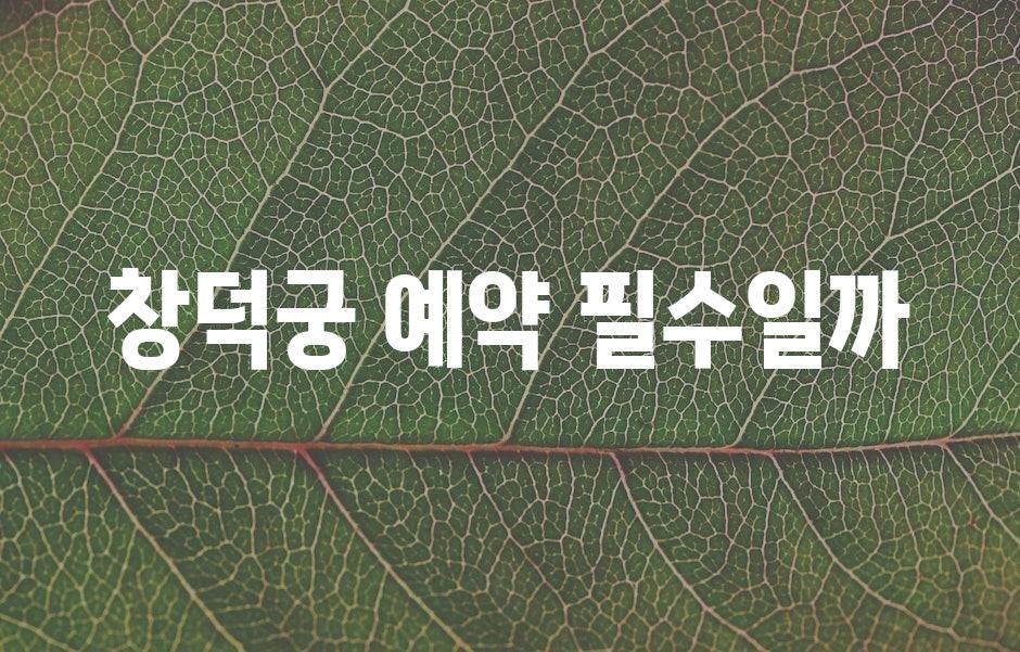 샘플 (43)
